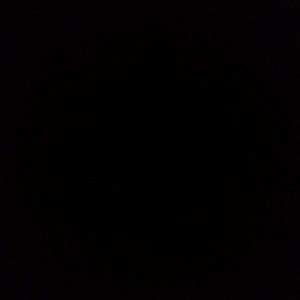 Meet your Posher, Gracie